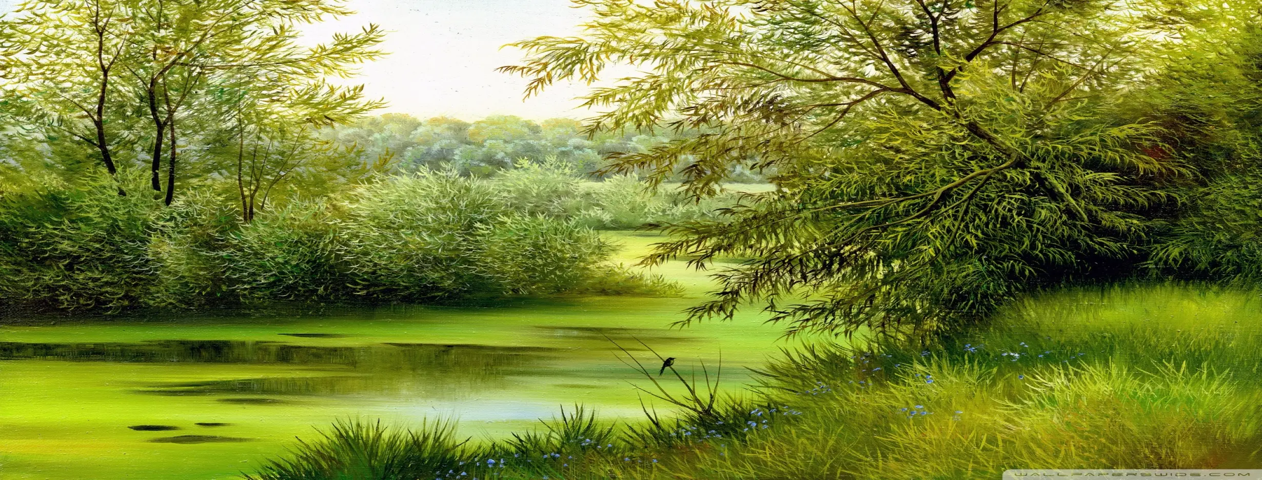 Image for Natures Canvas